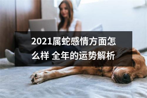 2025属蛇感情方面怎么样全年的运势解析