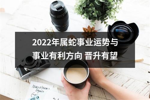 2025年属蛇事业运势与事业有利方向晋升有望