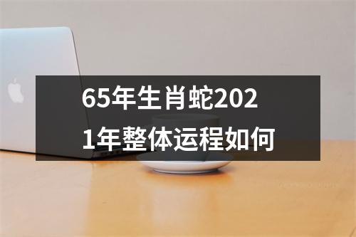 65年生肖蛇2025年整体运程如何