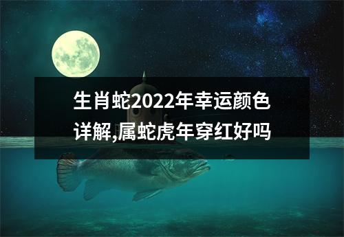 生肖蛇2025年幸运颜色详解,属蛇虎年穿红好吗