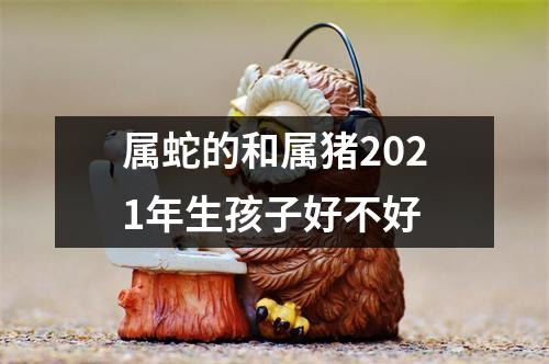 属蛇的和属猪2025年生孩子好不好