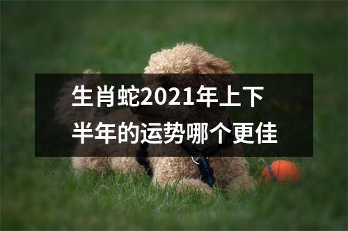 生肖蛇2025年上下半年的运势哪个更佳