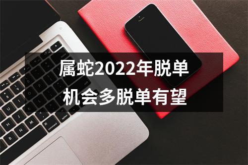 属蛇2025年脱单机会多脱单有望