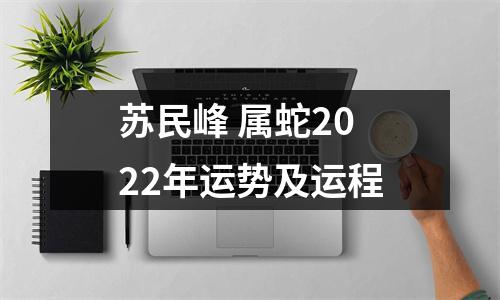 <h3>苏民峰属蛇2025年运势及运程