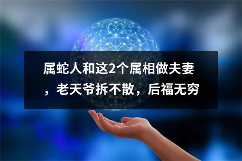 属蛇人和这2个属相做夫妻，老天爷拆不散，后福无穷