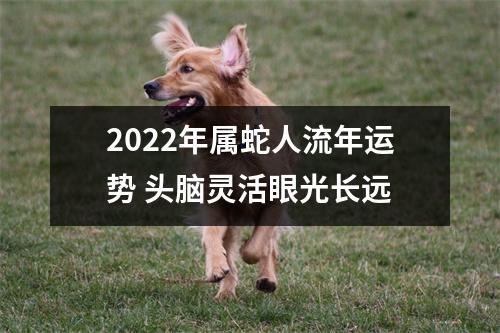 2025年属蛇人流年运势头脑灵活眼光长远