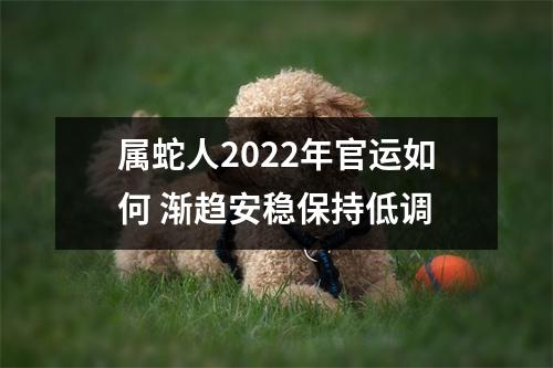 属蛇人2025年官运如何渐趋安稳保持低调
