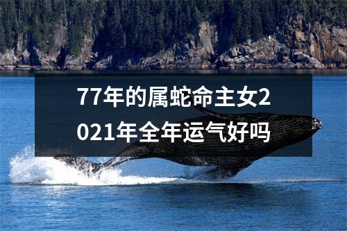 <h3>77年的属蛇命主女2025年全年运气好吗