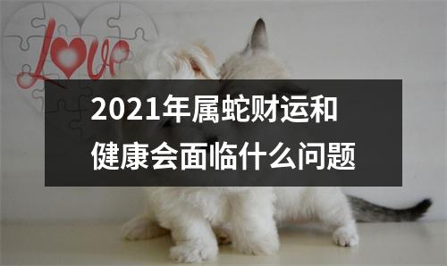 2025年属蛇财运和健康会面临什么问题