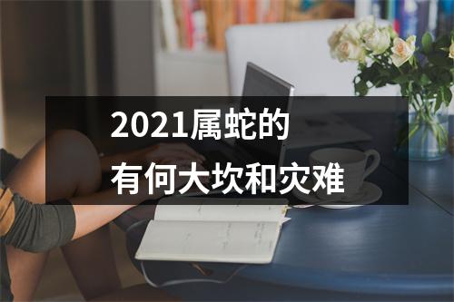 2025属蛇的有何大坎和灾难