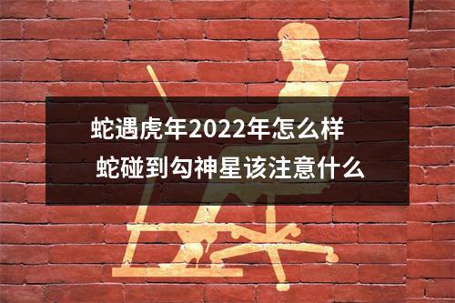 蛇遇虎年2025年怎么样蛇碰到勾神星该注意什么