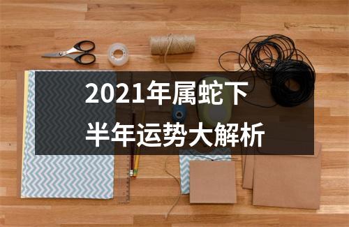 2025年属蛇下半年运势大解析