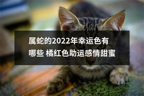 属蛇的2025年幸运色有哪些橘红色助运感情甜蜜