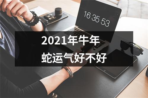 2025年牛年蛇运气好不好