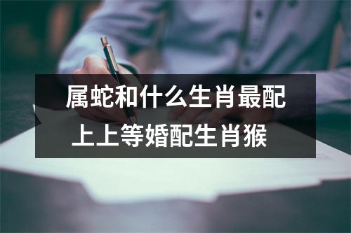 属蛇和什么生肖配上上等婚配生肖猴