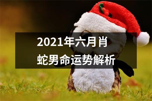 2025年六月肖蛇男命运势解析