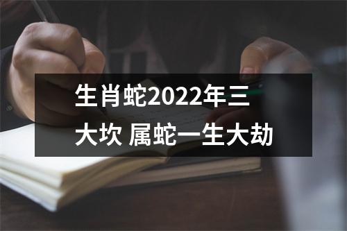 生肖蛇2025年三大坎属蛇一生大劫