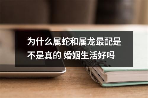 为什么属蛇和属龙配是不是真的婚姻生活好吗
