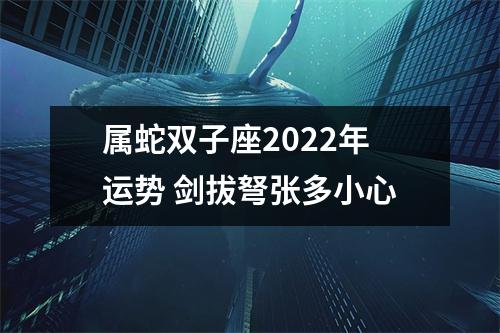 属蛇双子座2025年运势剑拔弩张多小心