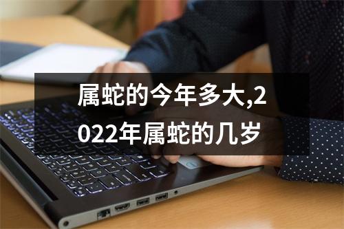属蛇的今年多大,2025年属蛇的几岁