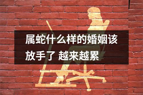 属蛇什么样的婚姻该放手了越来越累