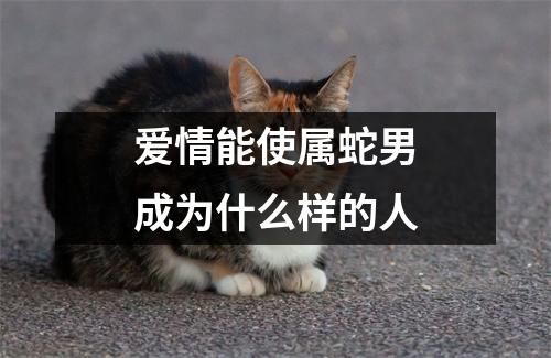 爱情能使属蛇男成为什么样的人