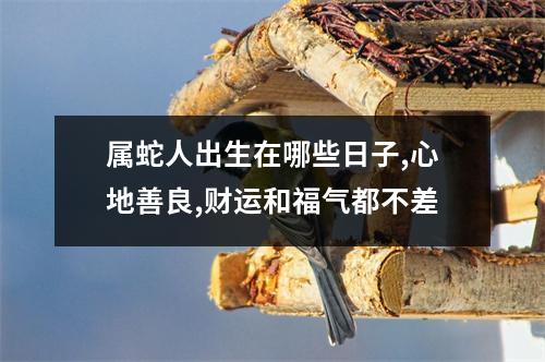 属蛇人出生在哪些日子,心地善良,财运和福气都不差