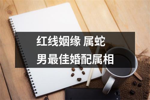 红线姻缘属蛇男佳婚配属相
