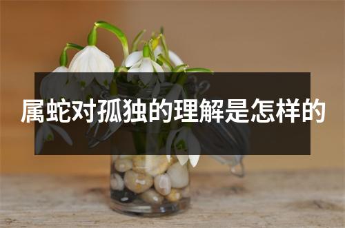 属蛇对孤独的理解是怎样的