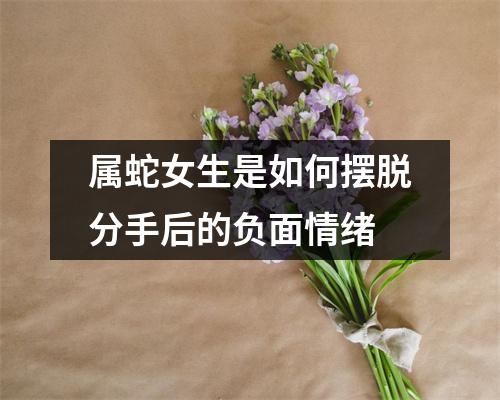 属蛇女生是如何摆脱分手后的负面情绪