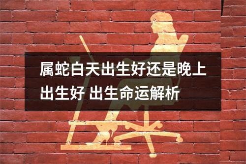 属蛇白天出生好还是晚上出生好出生命运解析