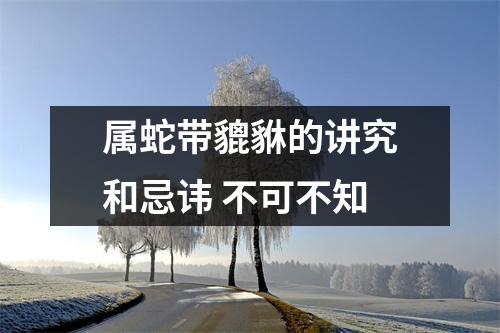 属蛇带貔貅的讲究和忌讳不可不知
