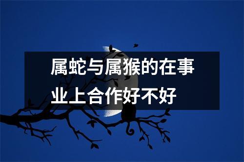 属蛇与属猴的在事业上合作好不好