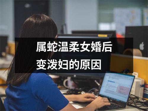 属蛇温柔女婚后变泼妇的原因