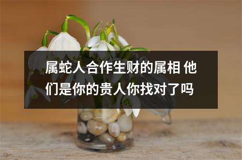属蛇人合作生财的属相他们是你的贵人你找对了吗