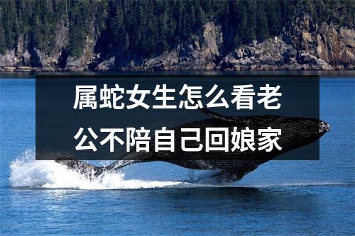 属蛇女生怎么看老公不陪自己回娘家