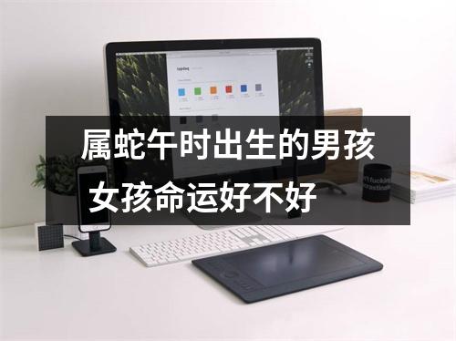 属蛇午时出生的男孩女孩命运好不好