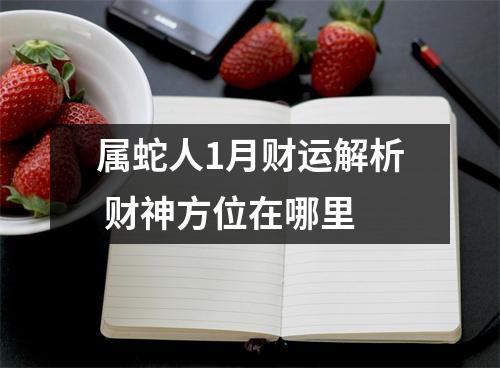 属蛇人1月财运解析财神方位在哪里
