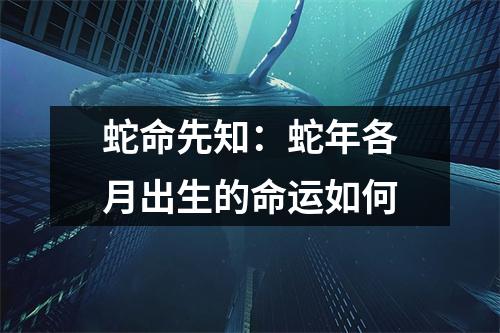 蛇命先知：蛇年各月出生的命运如何