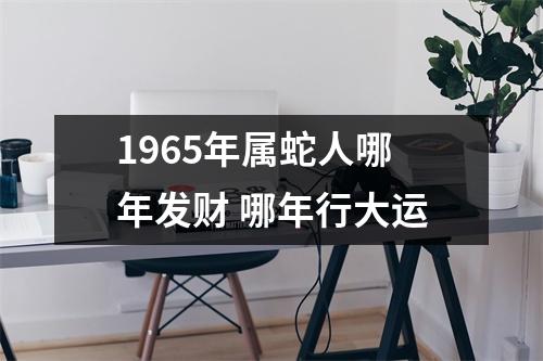 1965年属蛇人哪年发财哪年行大运