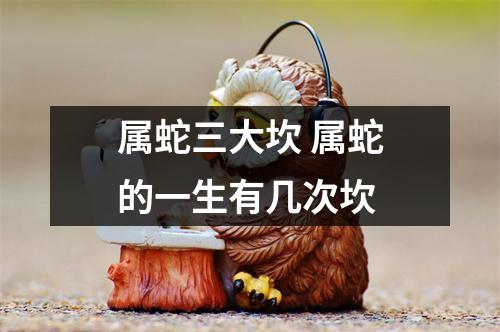 属蛇三大坎属蛇的一生有几次坎