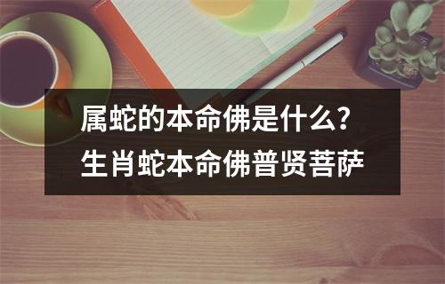 属蛇的本命佛是什么？生肖蛇本命佛普贤菩萨