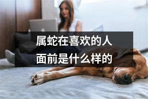 属蛇在喜欢的人面前是什么样的