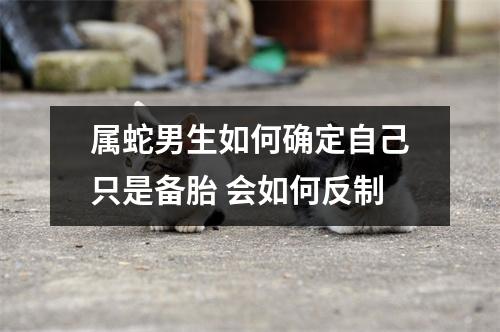 属蛇男生如何确定自己只是备胎会如何反制