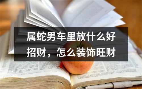 属蛇男车里放什么好招财，怎么装饰旺财