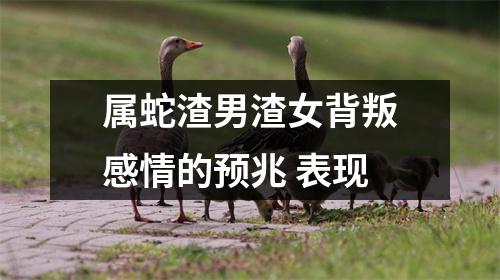 属蛇渣男渣女背叛感情的预兆表现