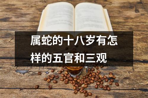 属蛇的十八岁有怎样的五官和三观
