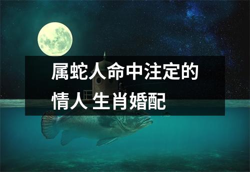 属蛇人命中注定的情人生肖婚配
