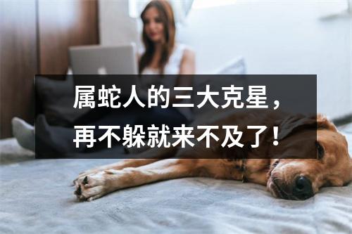 <h3>属蛇人的三大克星，再不躲就来不及了！