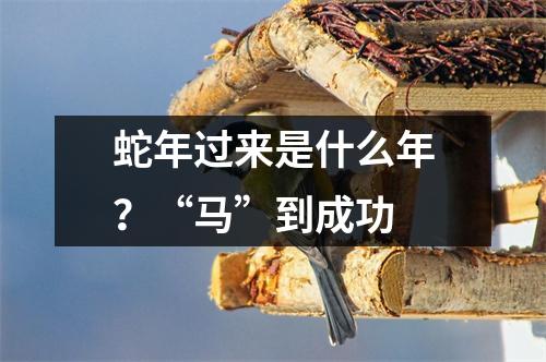 蛇年过来是什么年？“马”到成功